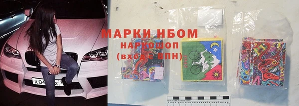 индика Волосово