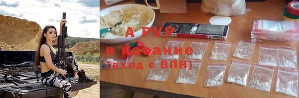 индика Волосово