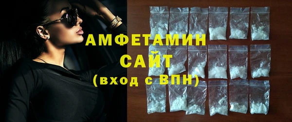 индика Волосово