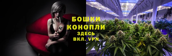 индика Волосово