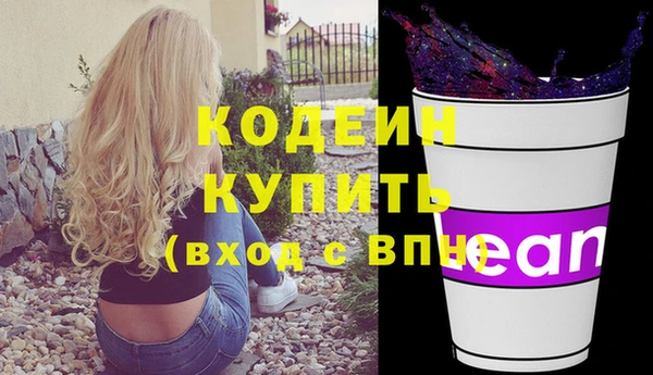 индика Волосово