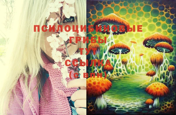 индика Волосово