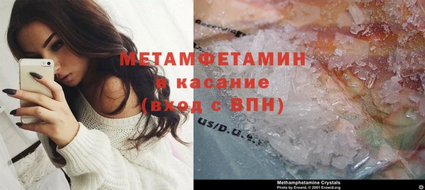индика Волосово