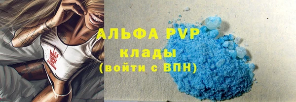 индика Волосово