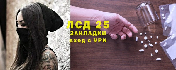 индика Волосово